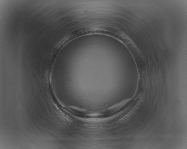 X0000070180785200605301350