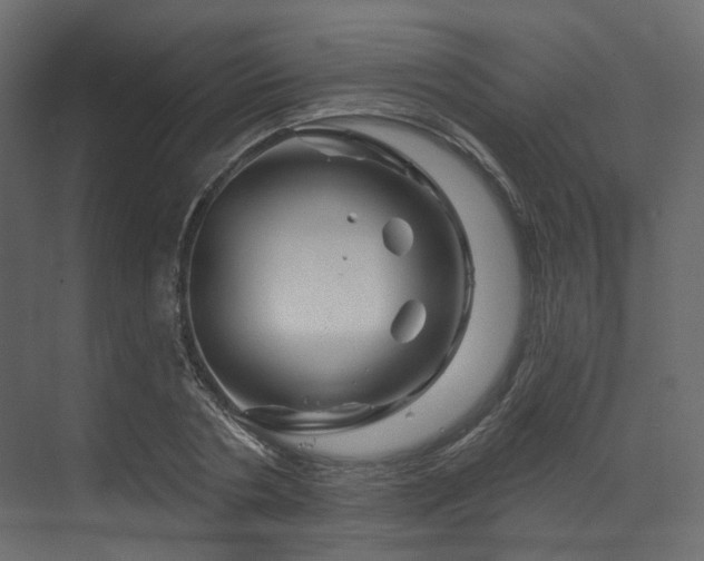 X0000070180786200605301350