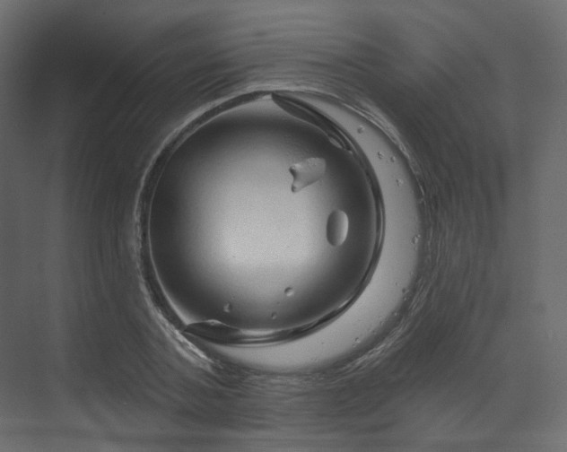X0000070180787200605301350