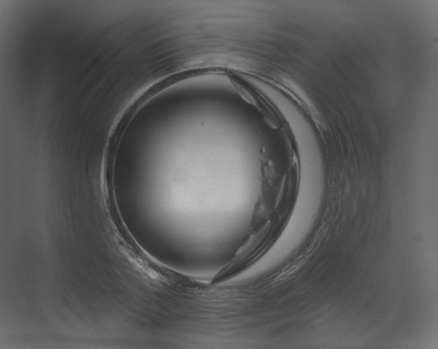 X0000070180788200605301350