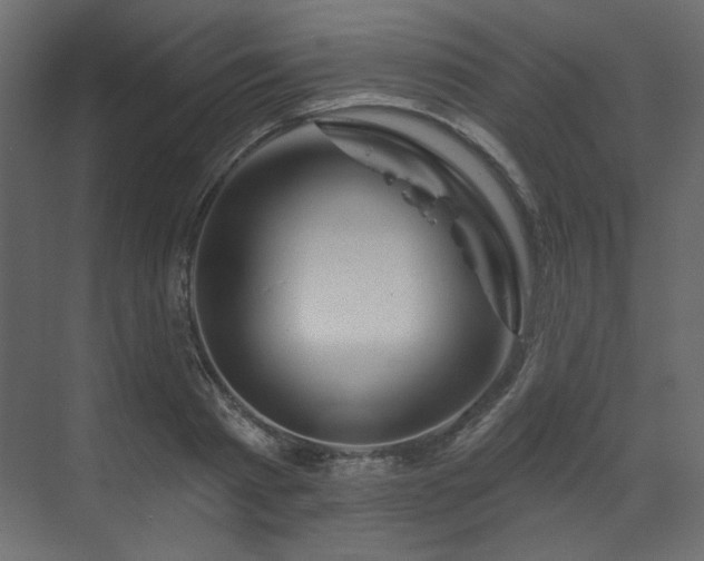 X0000070180793200605301350