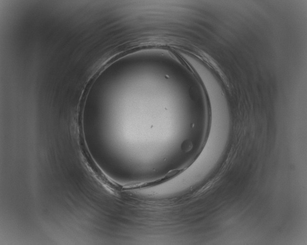X0000070180794200605301350