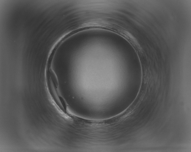 X0000070180796200605301350
