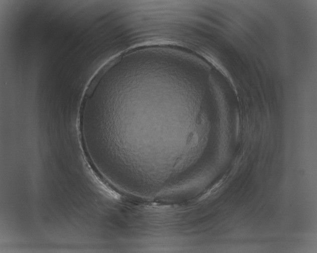 X0000070180797200605301350