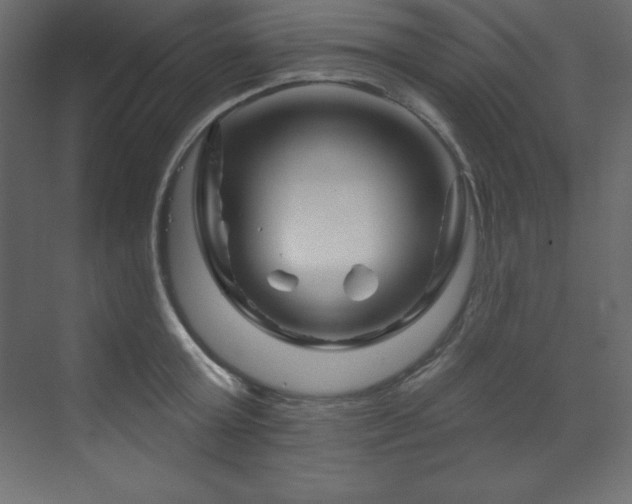 X0000070180803200605301350