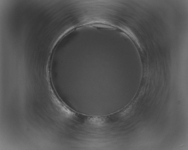 X0000070180806200605301350