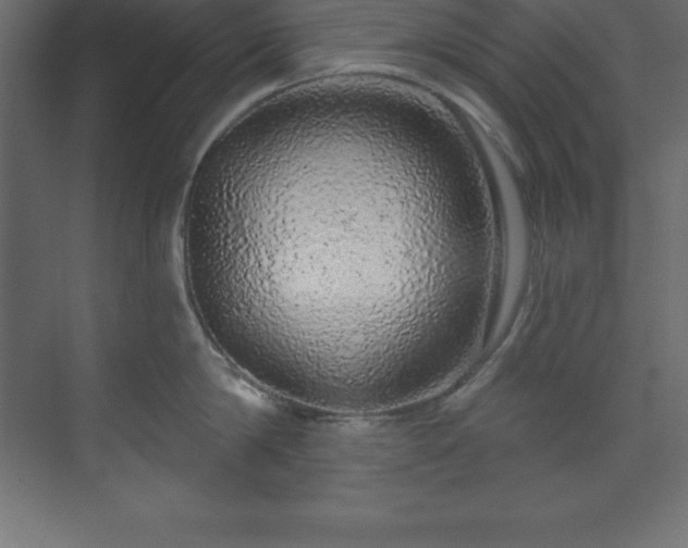 X0000070180814200605301349