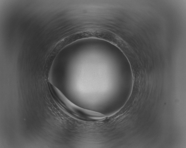 X0000070180822200605301349