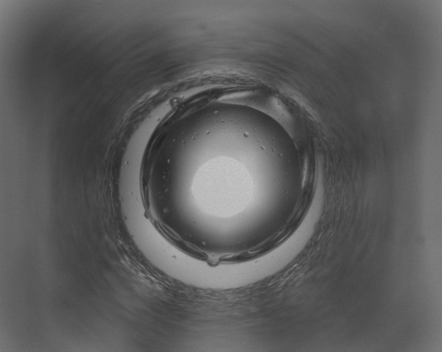 X0000070180824200605301349