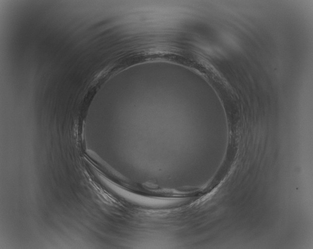 X0000070180825200605301349