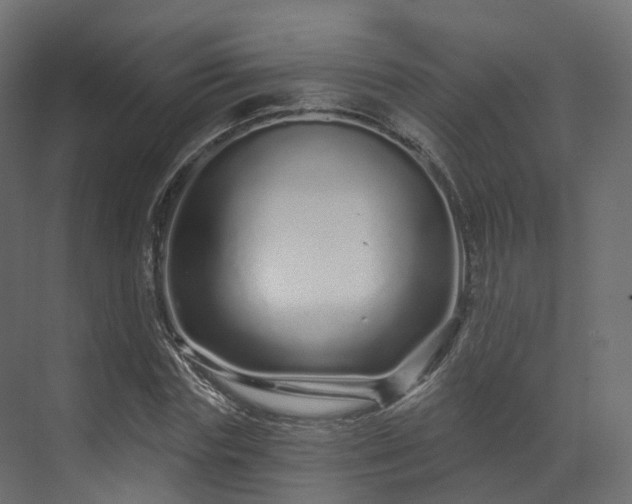 X0000070180827200605301349