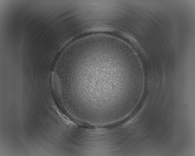 X0000070180833200605301349