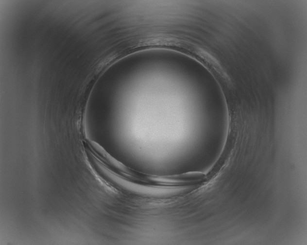 X0000070180841200605301349