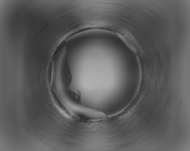 X0000070180842200605301349