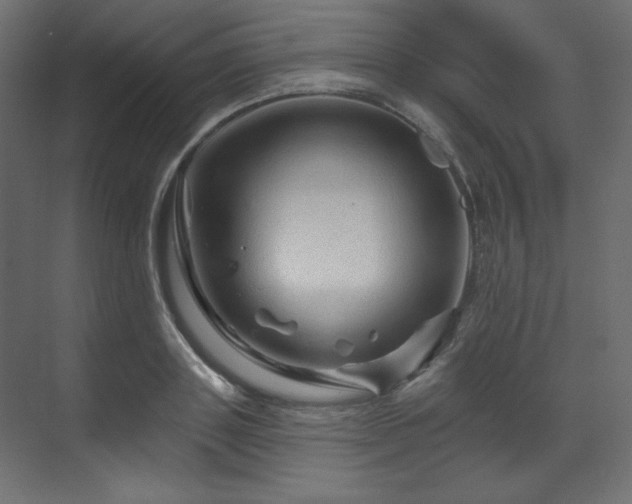 X0000070180843200605301349