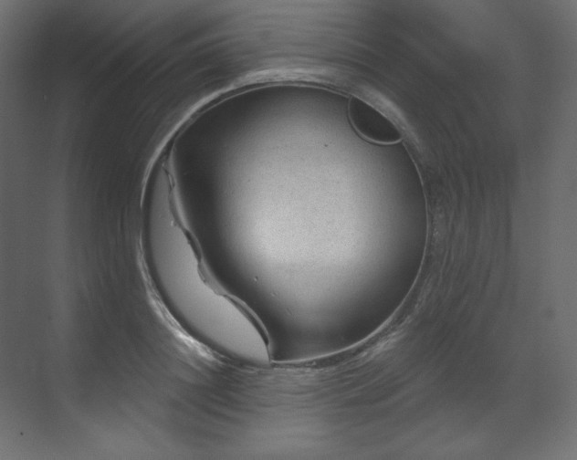X0000070180844200605301349
