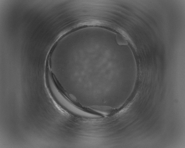 X0000070180845200605301349