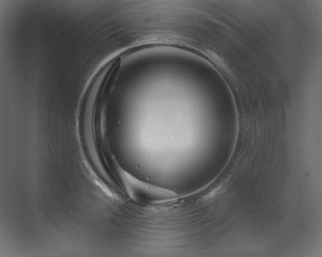 X0000070180846200605301349
