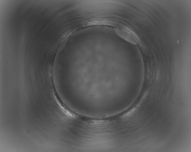 X0000070180849200605301349