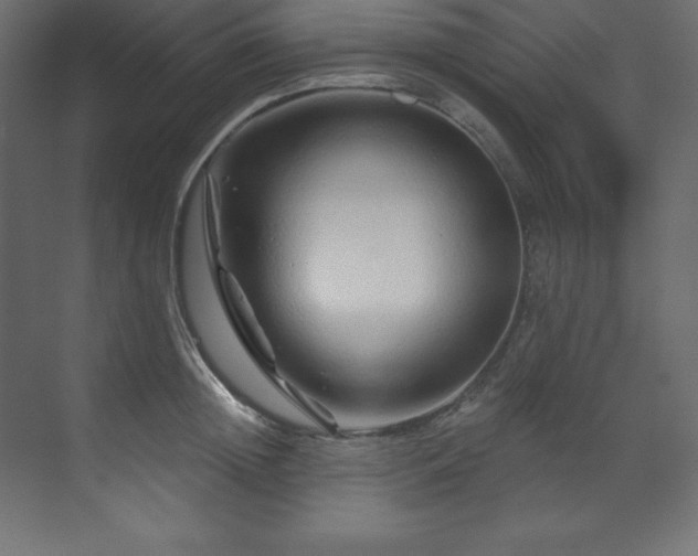 X0000070180852200605301349