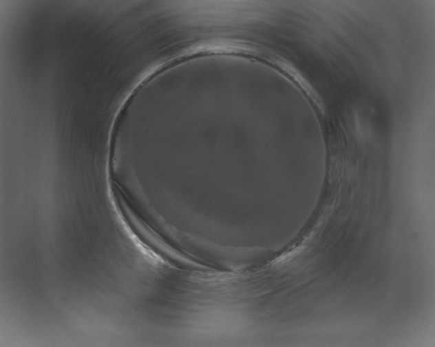 X0000070180853200605301349