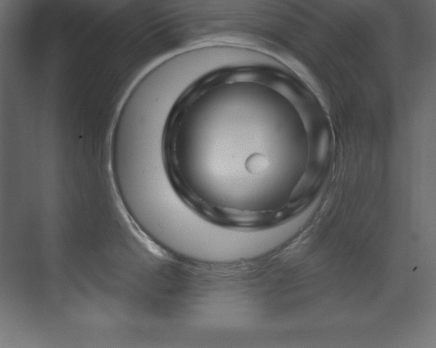 X0000070180862200605301349