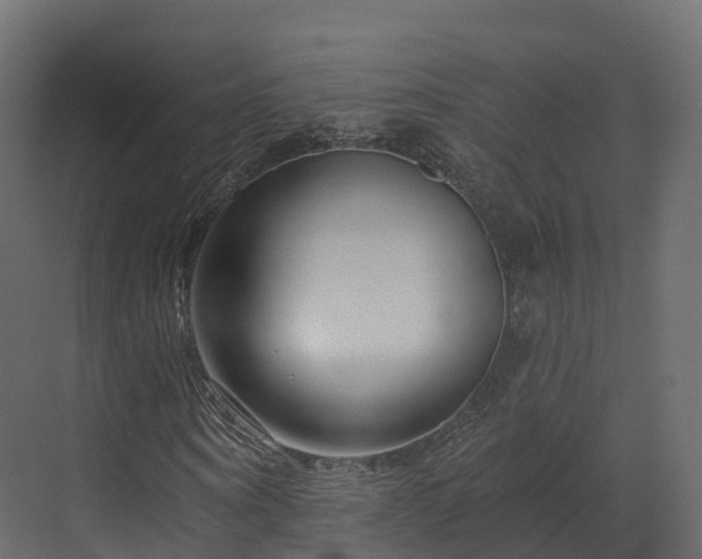 X0000070180866200605301349