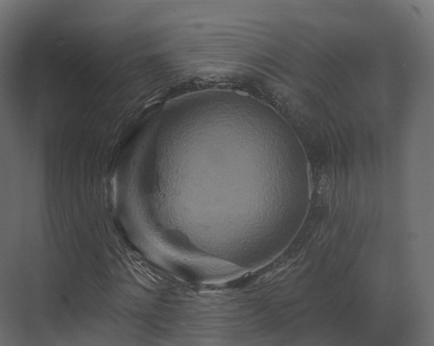 X0000070180868200605301349