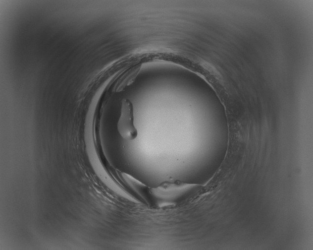 X0000070180872200605301348