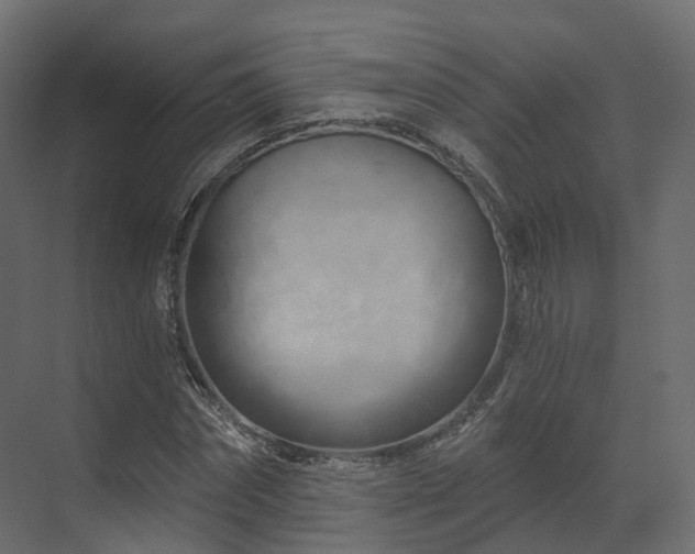 X0000070180874200605301348