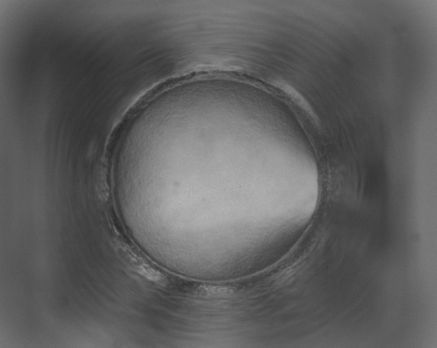 X0000070180878200605301348