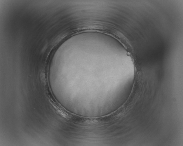 X0000070180882200605301348