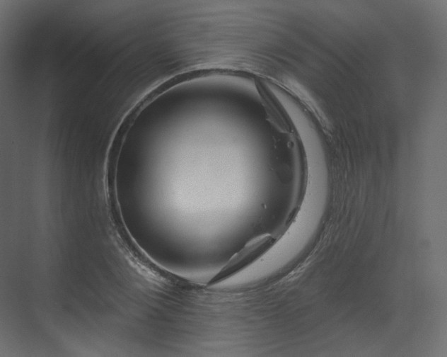X0000070180884200605301348