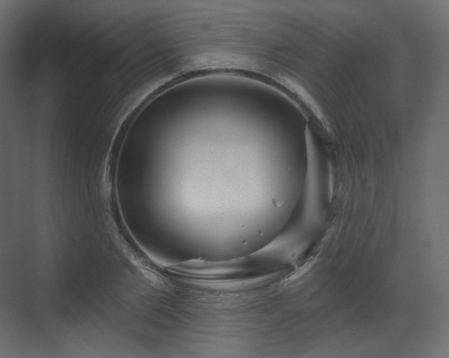X0000070180885200605301348