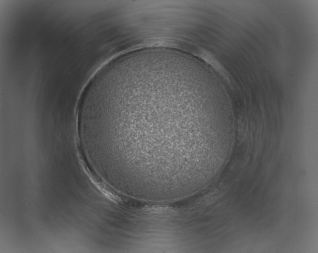 X0000070180886200605301348