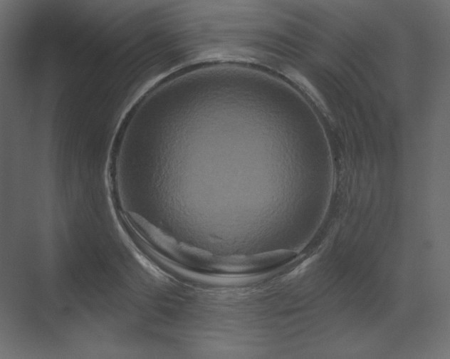 X0000070180893200605301348