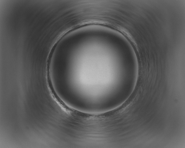 X0000070180898200605301348