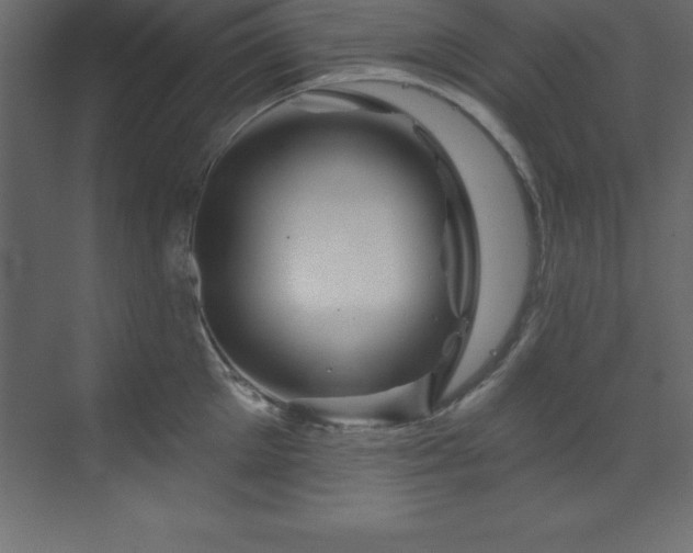 X0000070180905200605301348