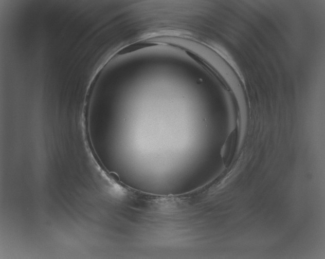 X0000070180906200605301348