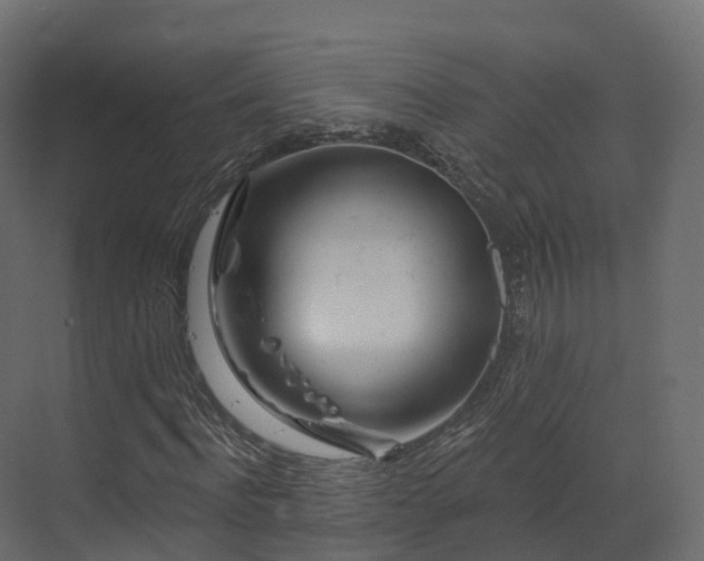 X0000070180916200605301347