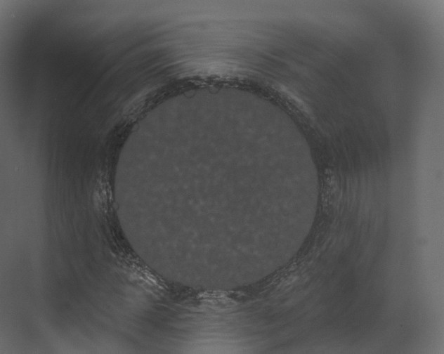 X0000070180918200605301347