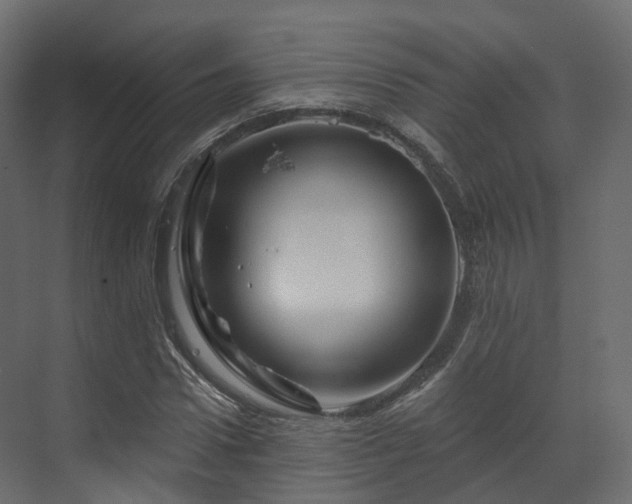 X0000070180922200605301347