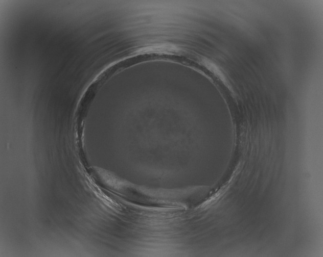 X0000070180923200605301347