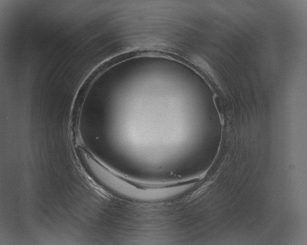 X0000070180924200605301347