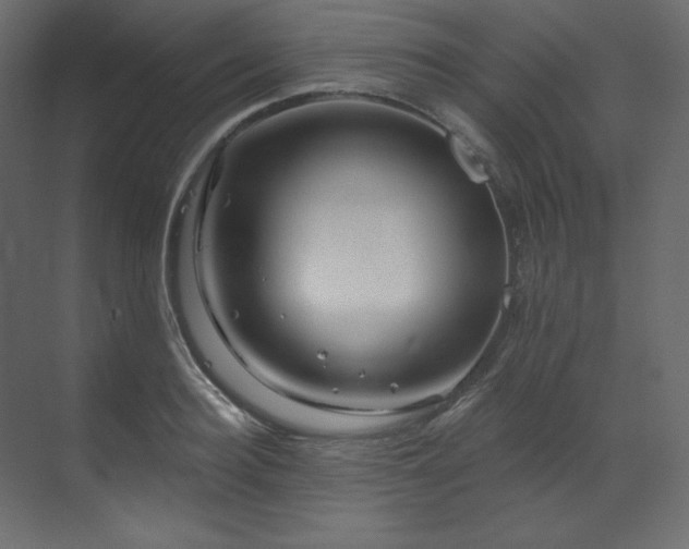 X0000070180940200605301347