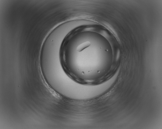 X0000070180948200605301348