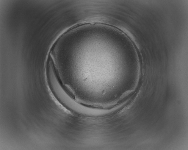 X0000070180949200605301348