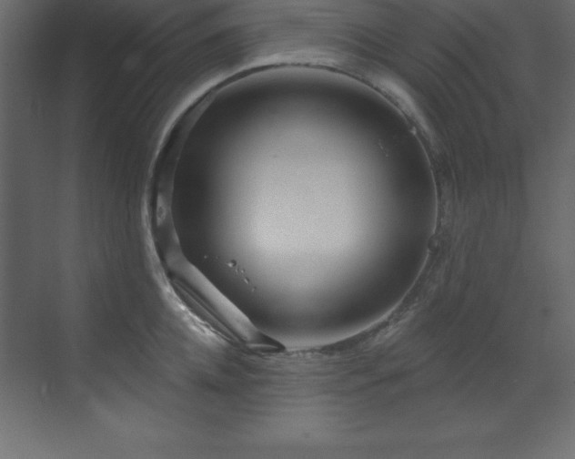 X0000070180952200605301348