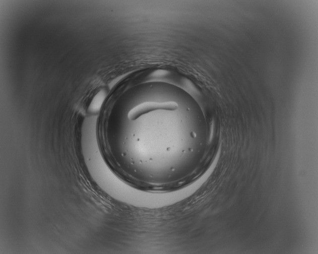 X0000070180961200605301347