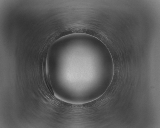 X0000070180964200605301347